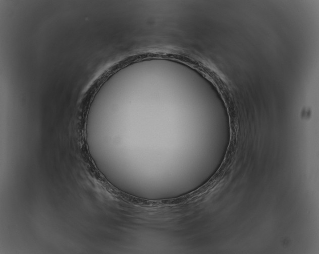 X0000091701256200708240925