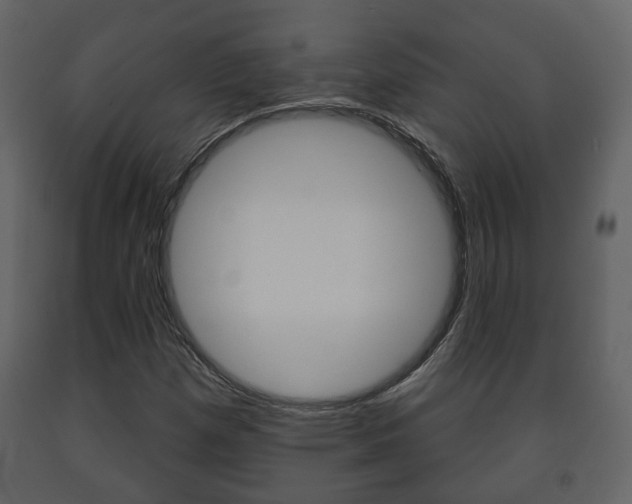 X0000091701257200708240925