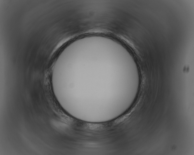 X0000091701258200708240925