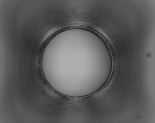 X0000091701259200708240925