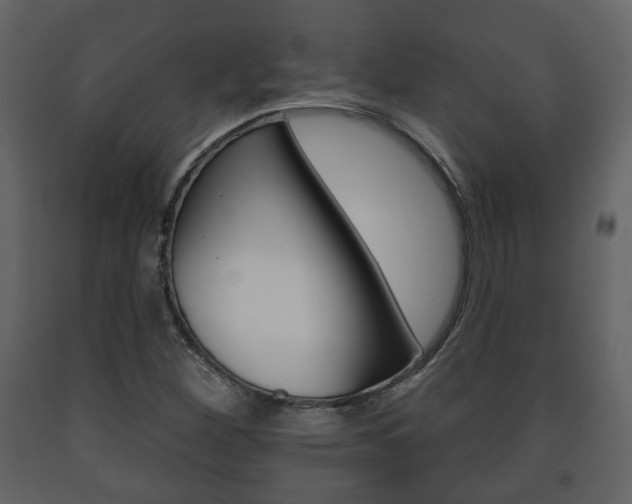 X0000091701260200708240925