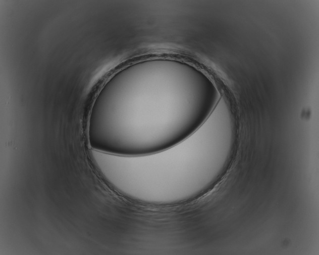 X0000091701261200708240925