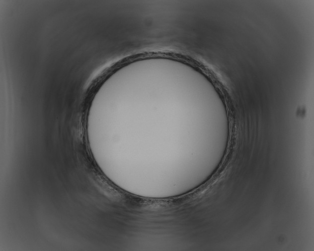 X0000091701262200708240925