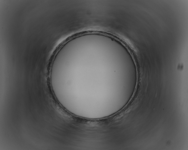 X0000091701264200708240925