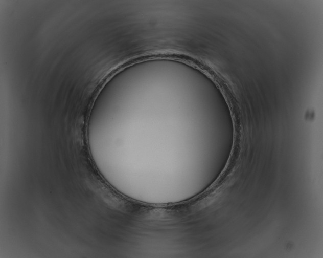 X0000091701265200708240925