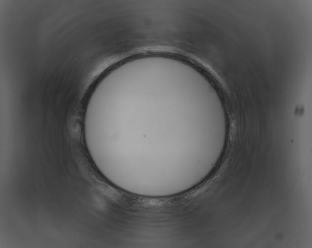 X0000091701266200708240925