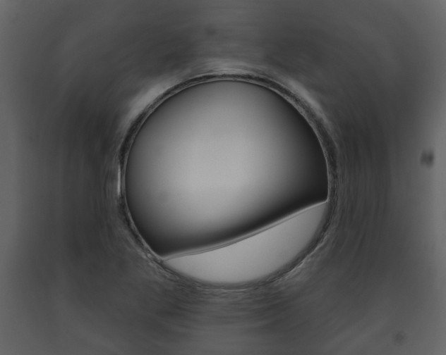 X0000091701269200708240925