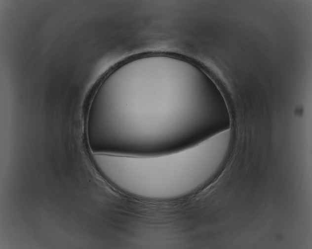 X0000091701270200708240925
