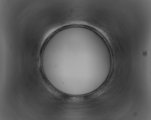 X0000091701271200708240925