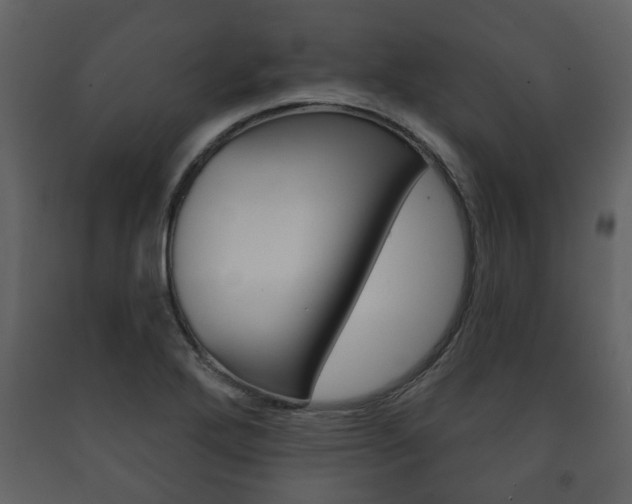 X0000091701272200708240925