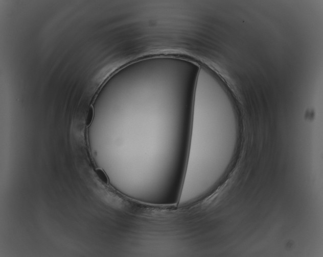 X0000091701273200708240925