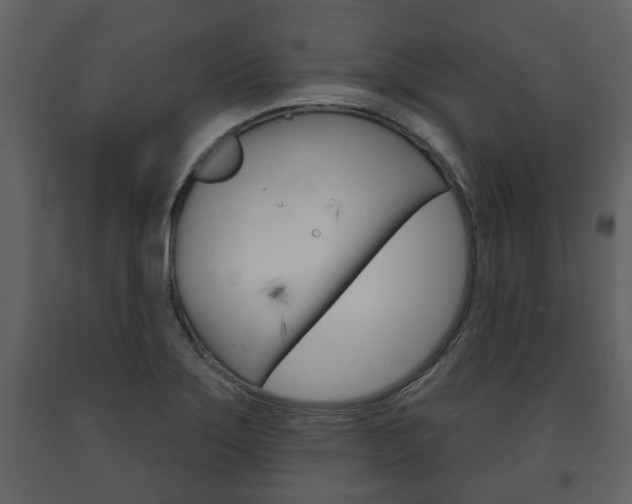 X0000091701275200708240925
