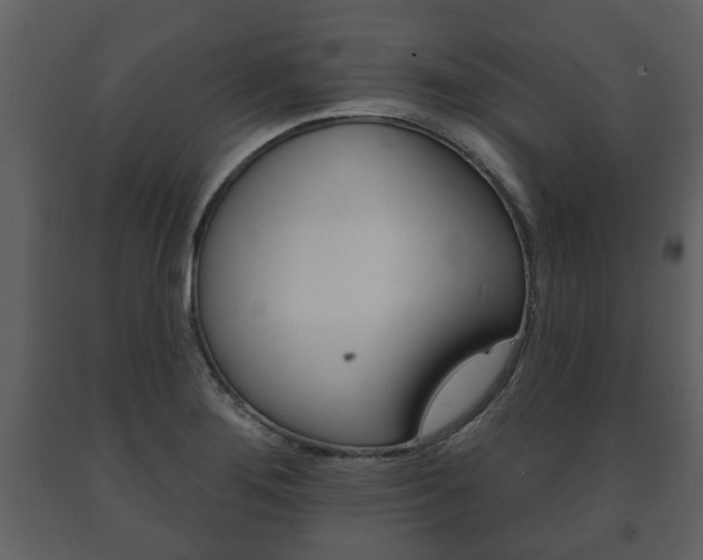 X0000091701276200708240925