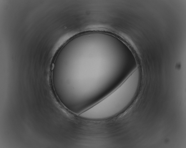 X0000091701277200708240925