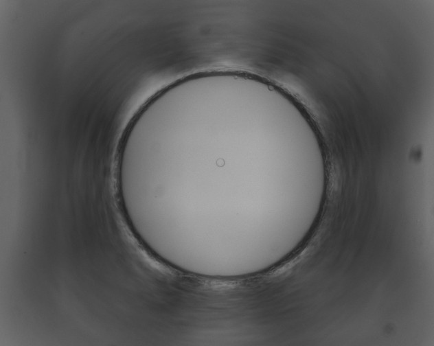 X0000091701278200708240925