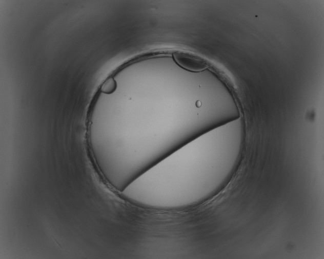 X0000091701279200708240925