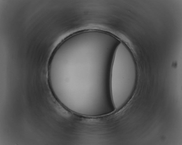 X0000091701280200708240925