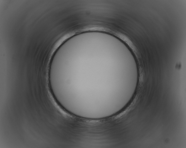 X0000091701282200708240925
