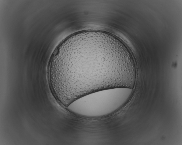 X0000091701283200708240924
