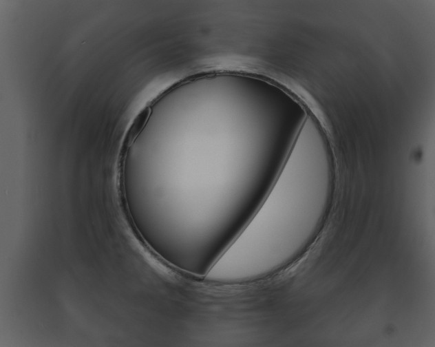 X0000091701285200708240924