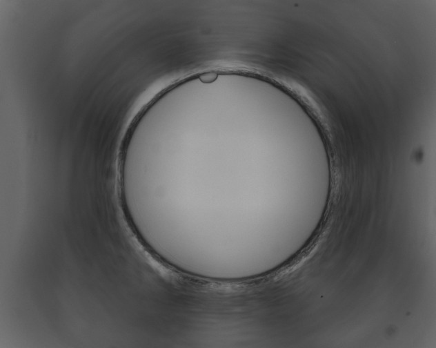X0000091701286200708240924