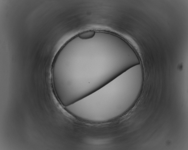 X0000091701287200708240924