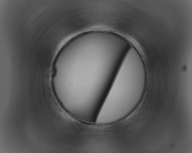 X0000091701288200708240924