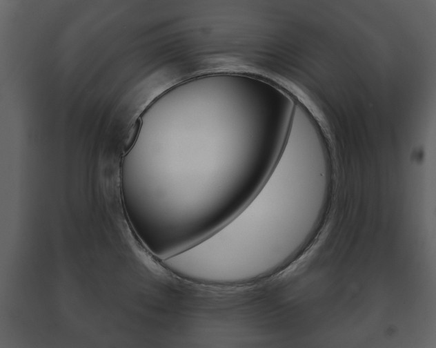 X0000091701289200708240924