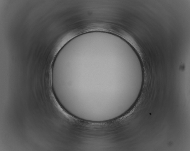X0000091701290200708240924