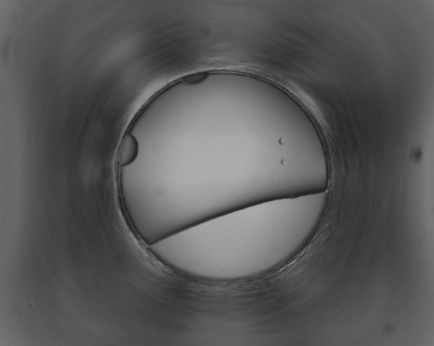 X0000091701291200708240924