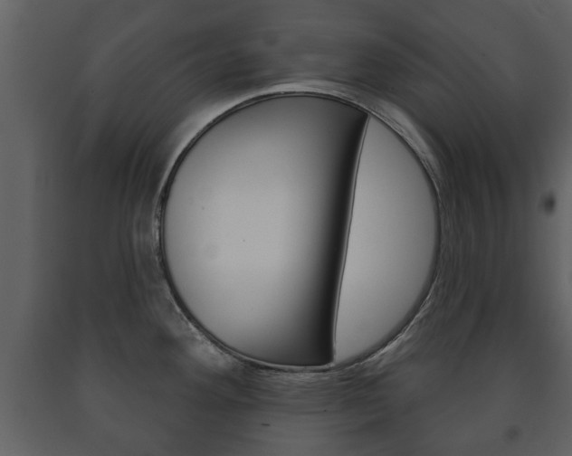 X0000091701292200708240924