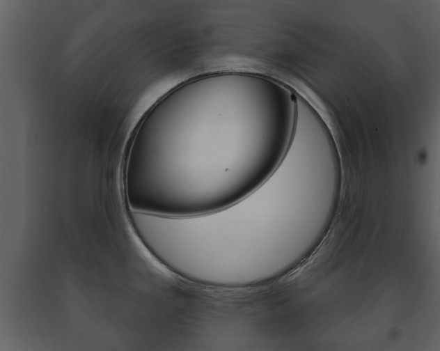 X0000091701293200708240924