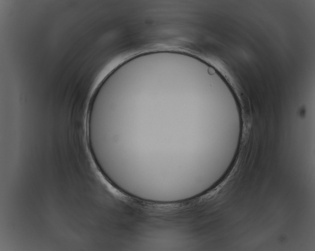 X0000091701294200708240924
