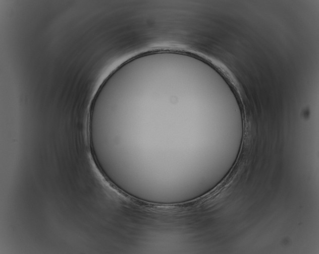 X0000091701295200708240924