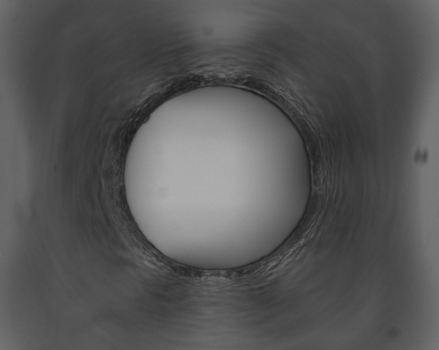 X0000091701297200708240924