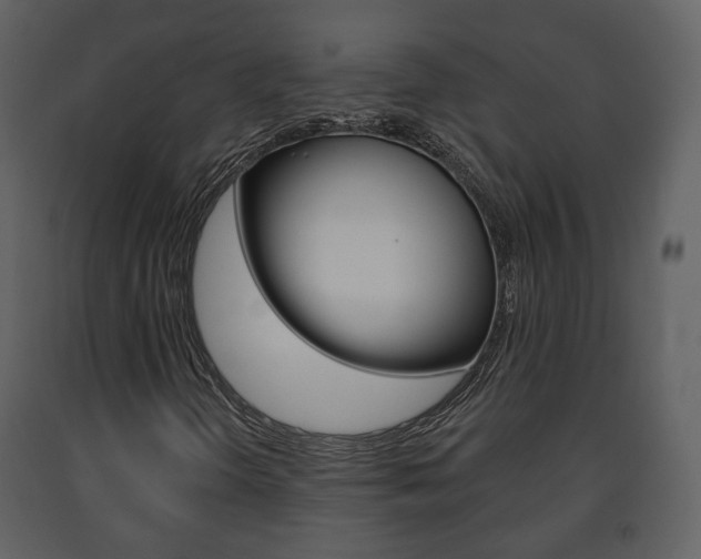 X0000091701298200708240924