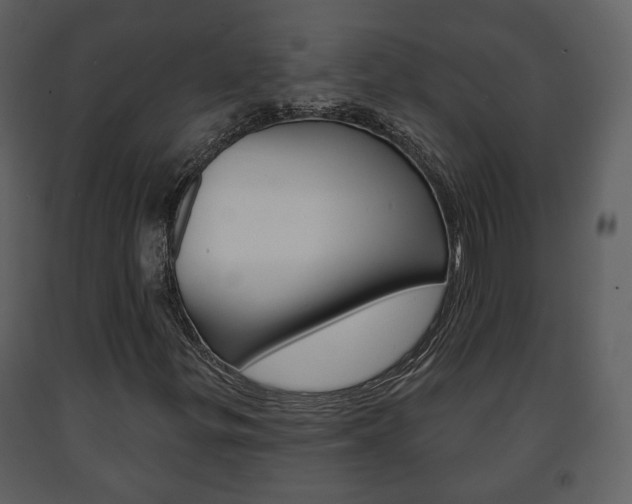 X0000091701299200708240924
