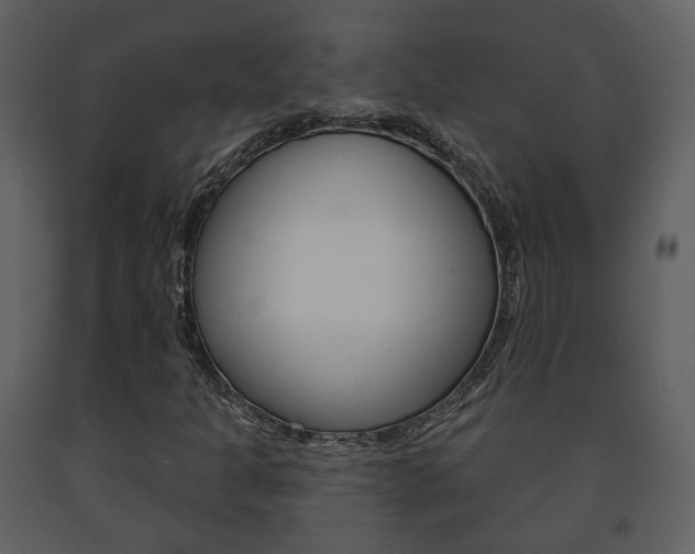 X0000091701301200708240924