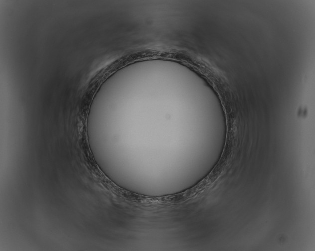 X0000091701302200708240924