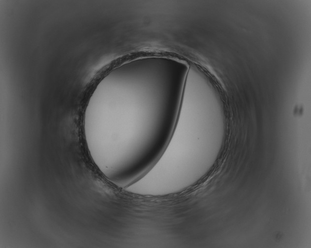 X0000091701304200708240924