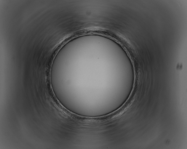 X0000091701305200708240924