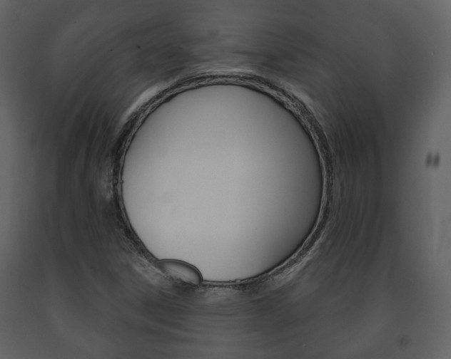 X0000091701306200708240924