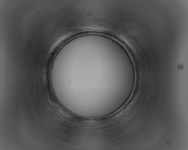 X0000091701307200708240924