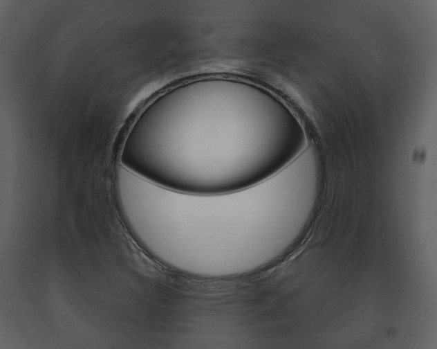 X0000091701308200708240924