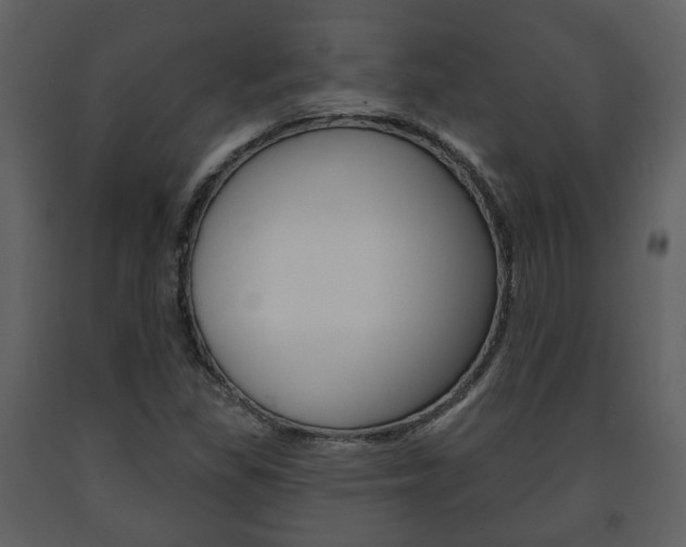 X0000091701309200708240924