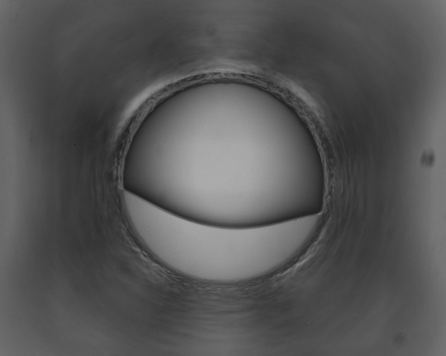 X0000091701310200708240924