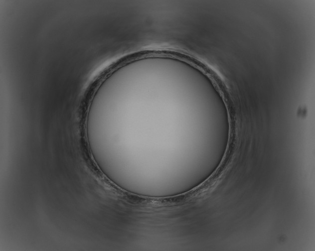 X0000091701311200708240924