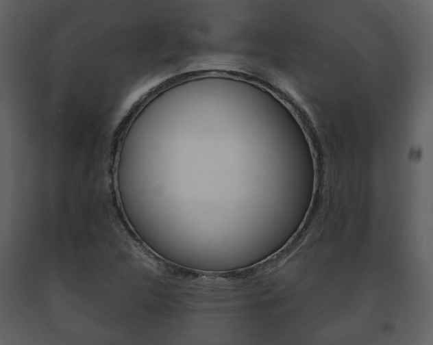 X0000091701312200708240924