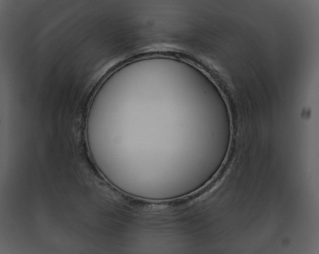 X0000091701313200708240924