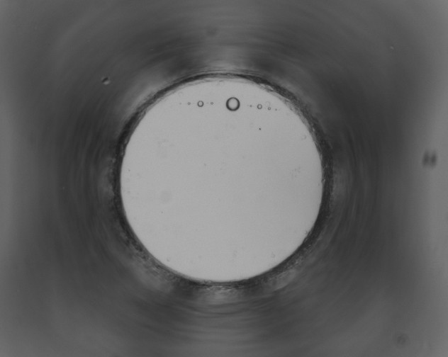 X0000091701314200708240924